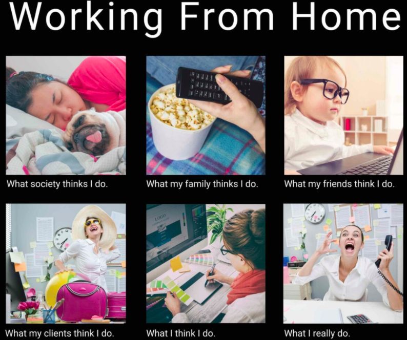 Work From Home Meme Wfh Memes To Make You Laugh Chanty